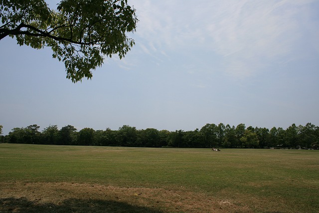 f0117111_23372667.jpg