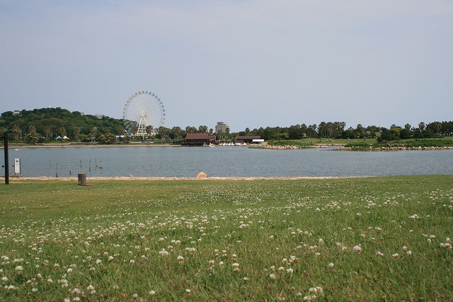 f0117111_23404431.jpg