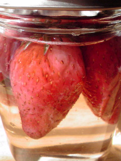 e0140412_1052783.jpg