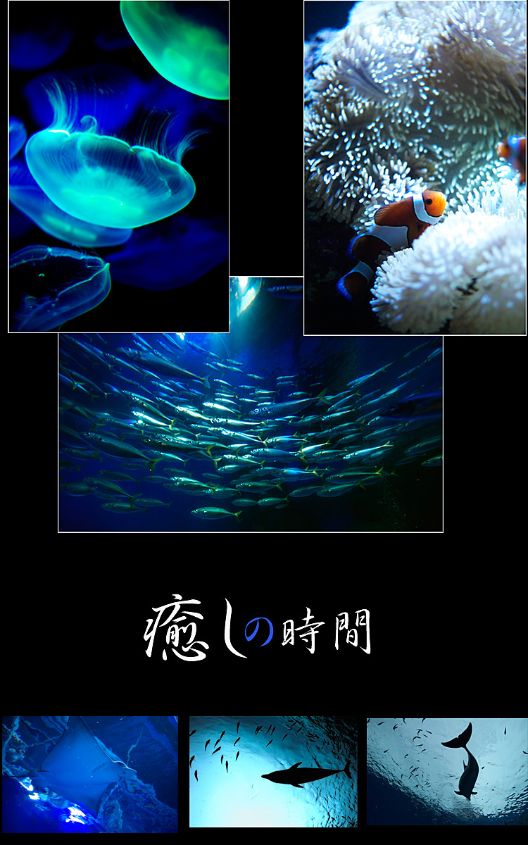 f0014815_1374067.jpg