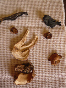 c0144016_856277.jpg