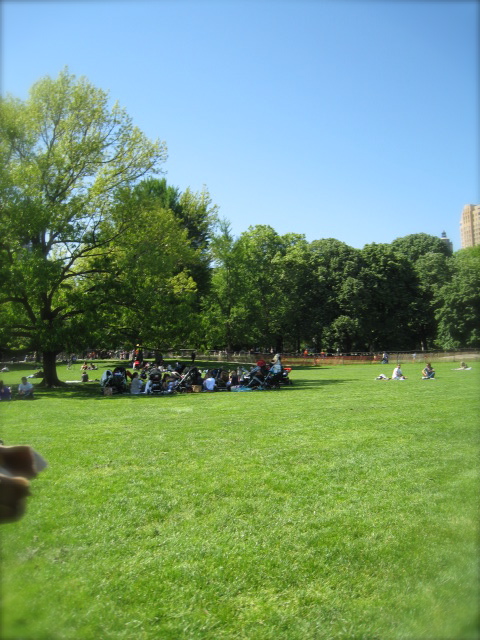 c0120817_7304018.jpg