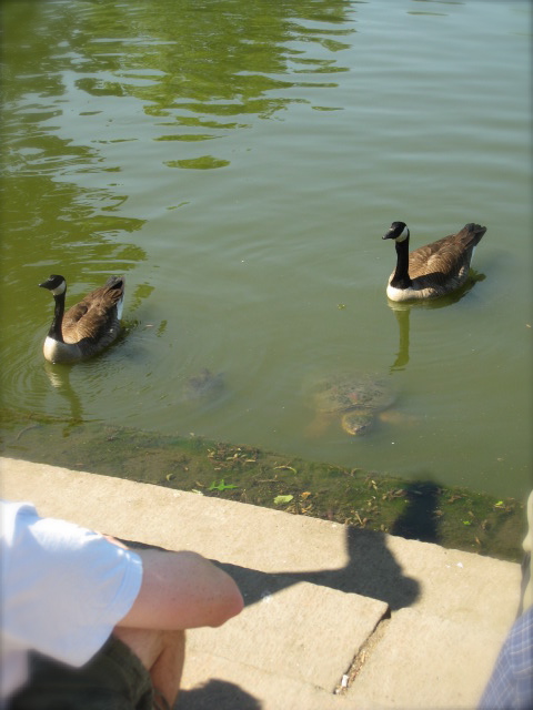 c0120817_737491.jpg
