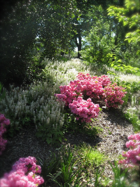 c0120817_7393915.jpg