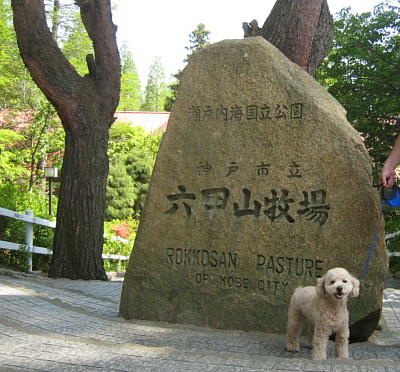 c0060920_13532566.jpg