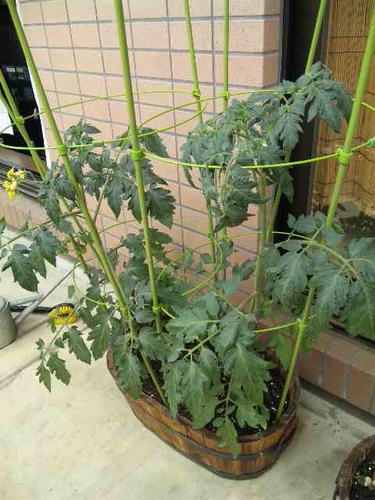 f0194020_14272850.jpg