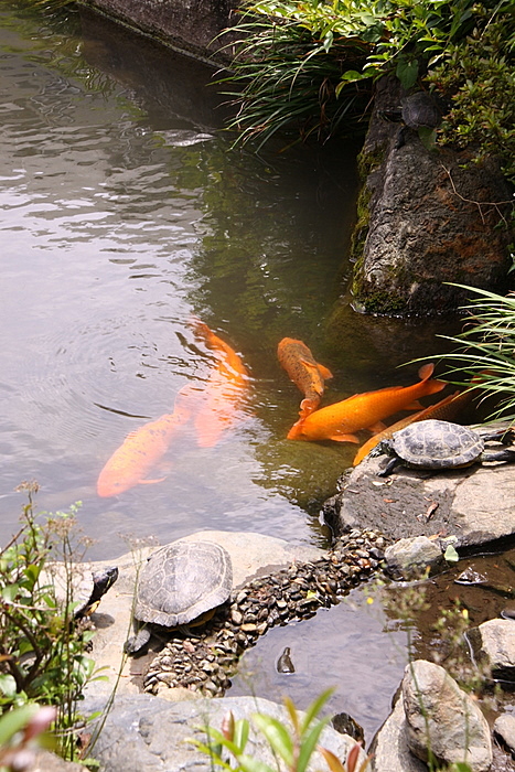 b0165522_1540189.jpg