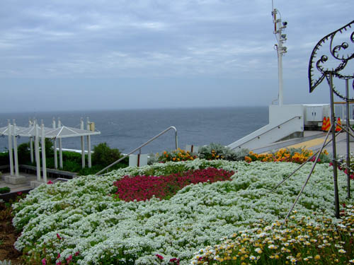 f0147025_753482.jpg