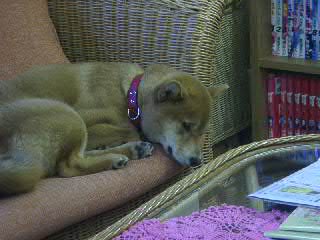 a0100527_1005040.jpg