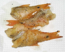 e0002927_20242296.jpg