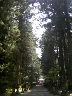 b0116928_13412726.jpg