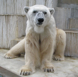 c0188928_1327860.jpg