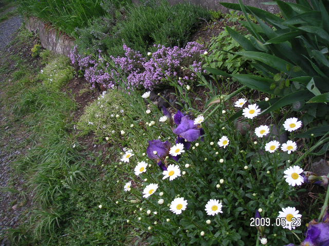 a0020929_1112032.jpg