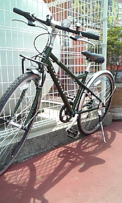 c0181830_11503655.jpg