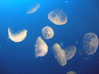 b0165236_10575569.jpg