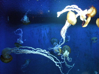 b0165236_10583749.jpg