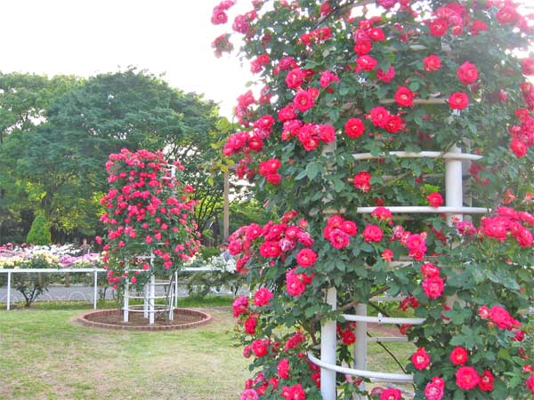 a0095337_14152461.jpg
