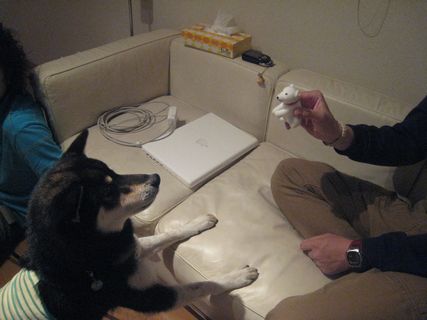 f0058241_1454551.jpg