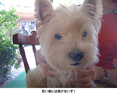 e0077142_2140035.jpg