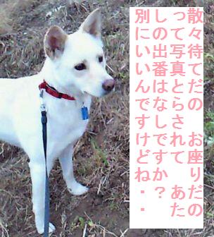 f0195543_2022698.jpg