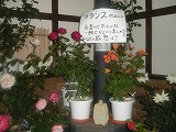 b0157246_2223545.jpg