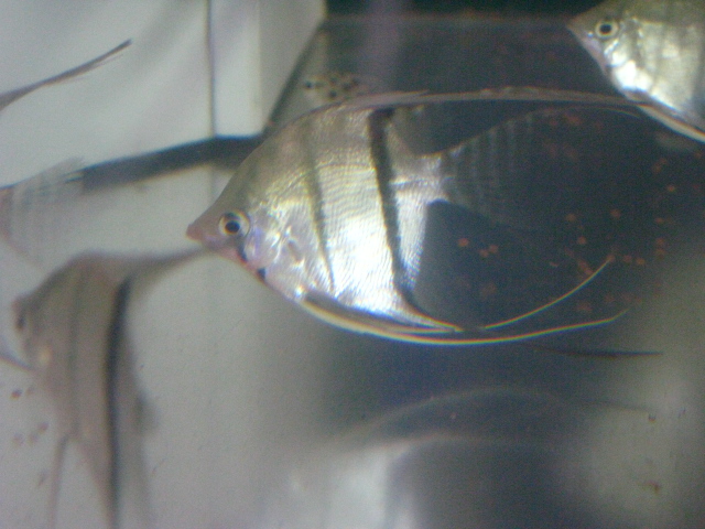 f0198950_19494095.jpg
