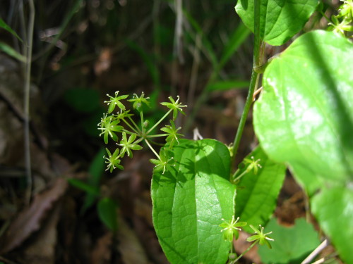 c0179351_22402853.jpg