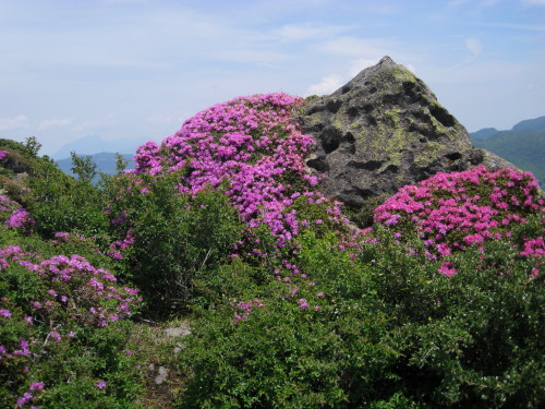 c0179351_22474755.jpg