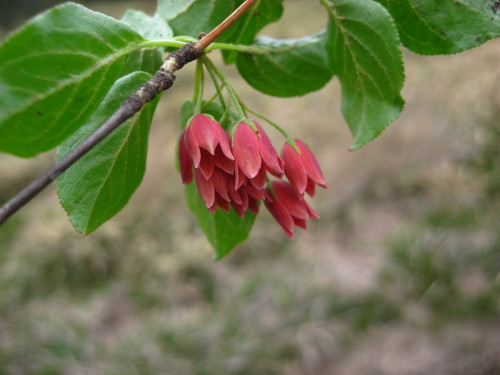 c0179351_2251137.jpg