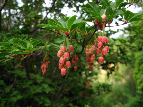 c0179351_22533330.jpg