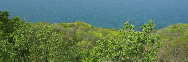 c0062361_1534543.jpg