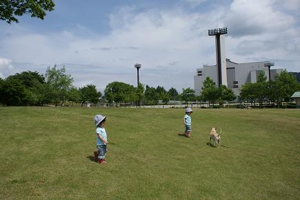 f0046262_2301963.jpg