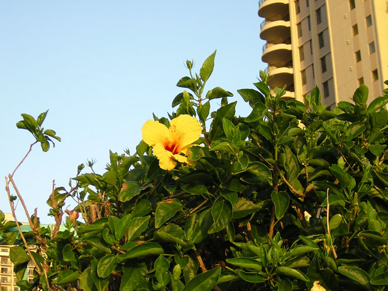 b0186563_153418100.jpg