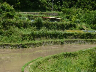 f0055264_145672.jpg
