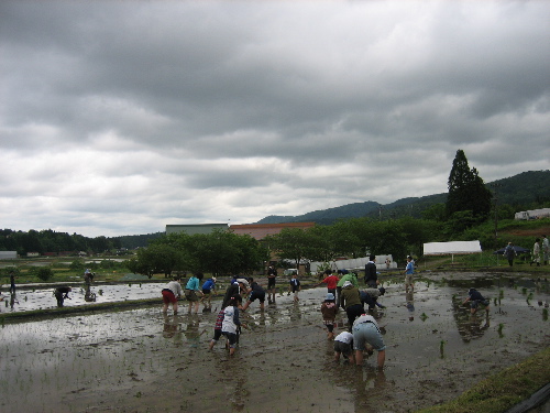 b0079965_19593143.jpg