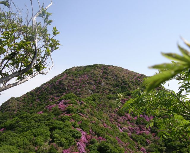 c0042869_14205786.jpg