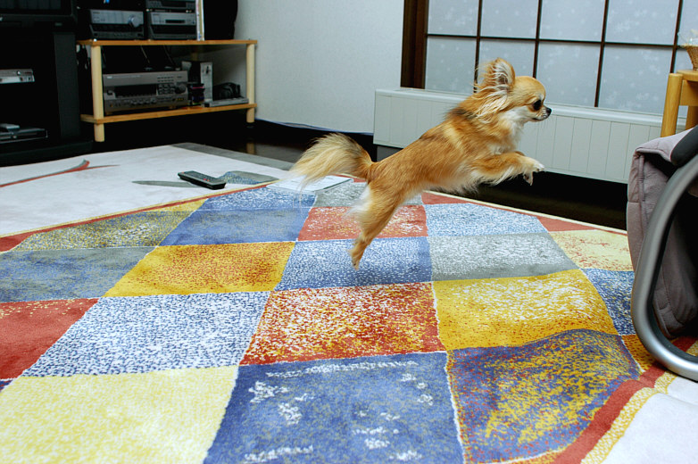 c0026870_10231737.jpg