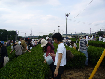 b0170472_19324170.jpg