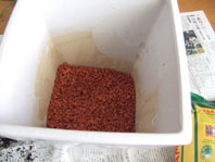 c0183775_7231875.jpg