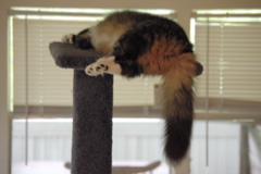 f0004775_9274230.jpg