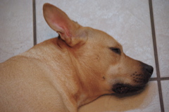 f0004775_92868.jpg