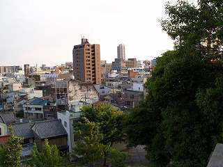 d0054276_200233.jpg
