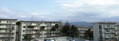 a0106978_16453022.jpg