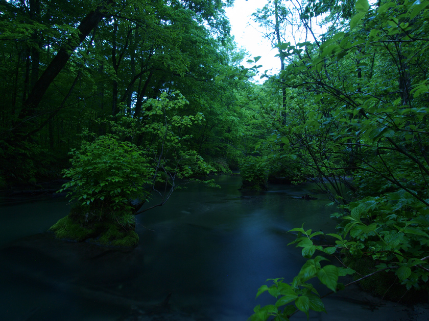 d0152981_21335161.jpg