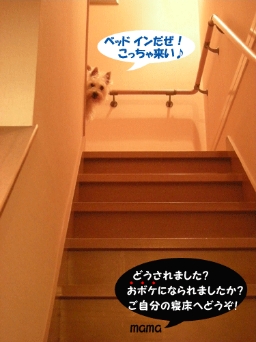 e0066883_1694135.gif