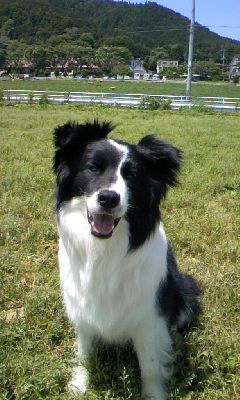f0189490_0263891.jpg