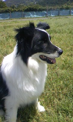 f0189490_028090.jpg