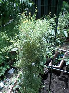 f0085291_17524735.jpg