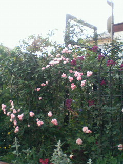 c0095693_623332.jpg