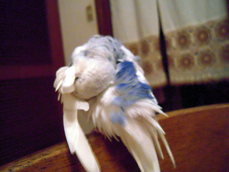 d0131293_15383815.jpg